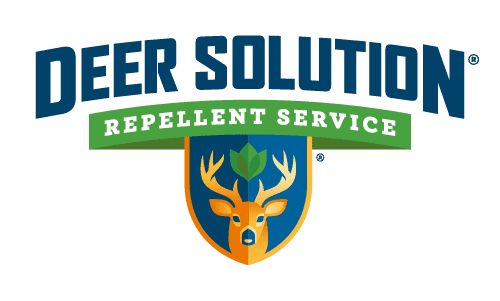 Deer Solution Logo with White Text