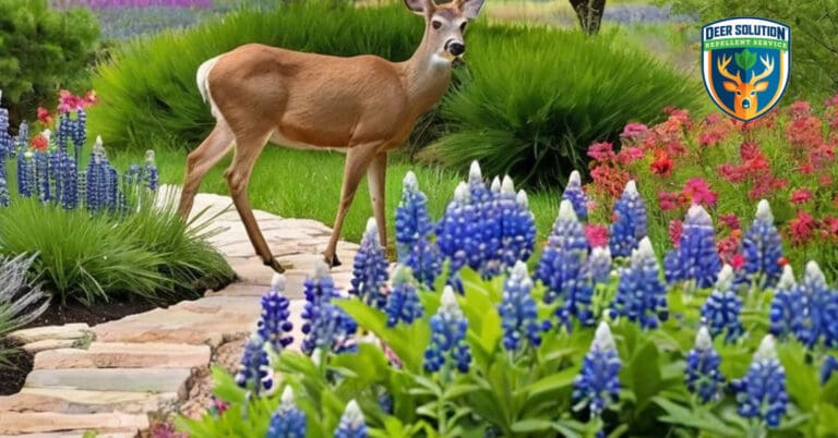 Eco-garden with bluebonnets, native flora, thriving via Deer Solution® repellent. Do deer eat them?