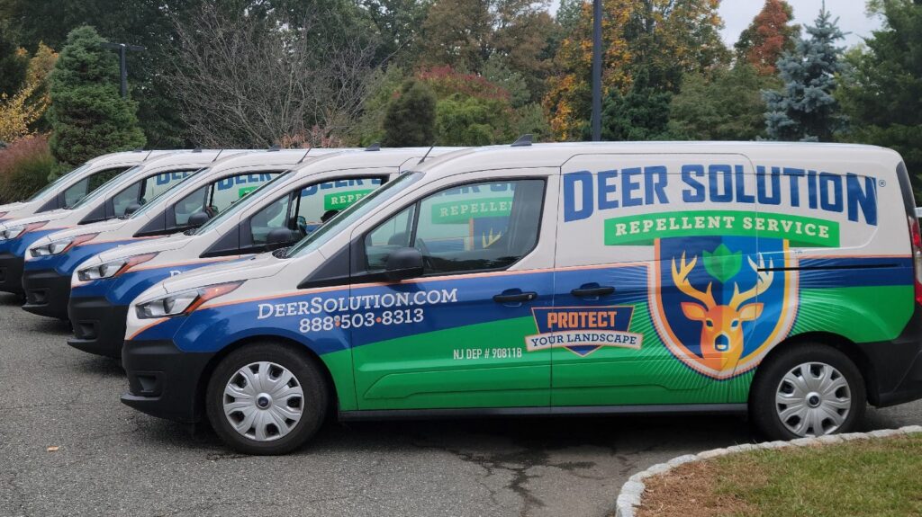Line of Deer Solution branded service vans in a parking lot, with green and blue graphics and a deer logo on the side
