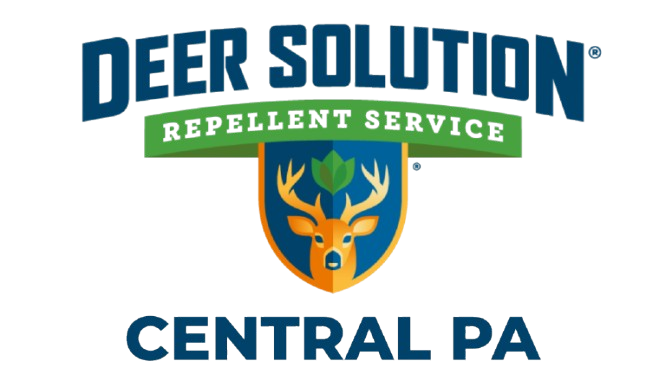 Deer Solution pest control logo: shield with a deer head, banner says Repellent Service, Central PA beneath it.