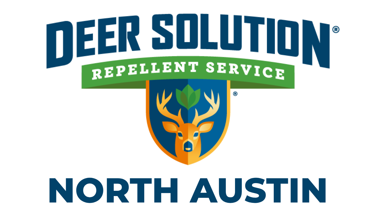 Deer Solution of North Austin Logo